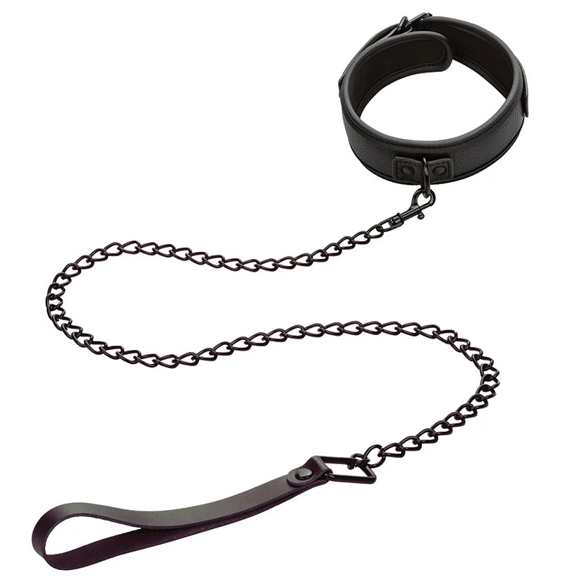Nocturnal Collection Collar & Leash